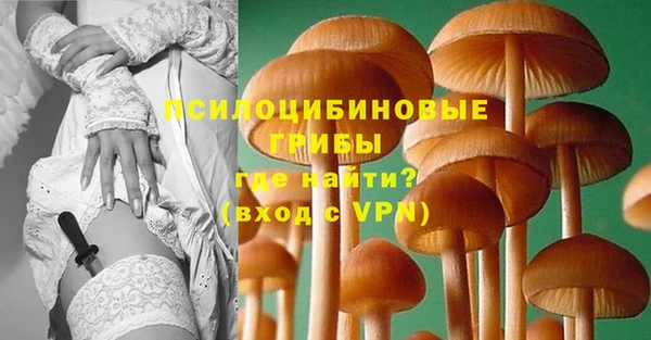 шишки Алексеевка