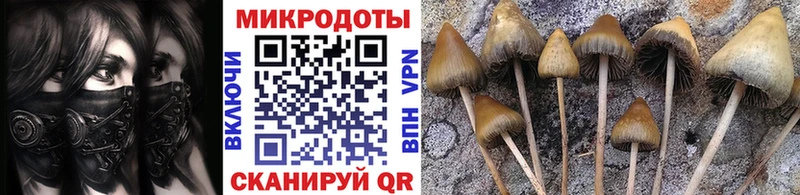 Галлюциногенные грибы мицелий Емва